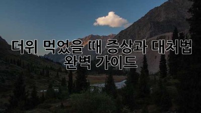 더위 먹었을 때 증상과 대처법 완벽 가이드