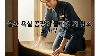 울산 욕실 곰팡이, 물때 제거 청소 노하우