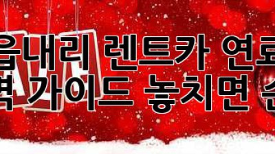 음성 읍내리 렌트카 연료⛽ 정책 완벽 가이드! 놓치면 손해 😉