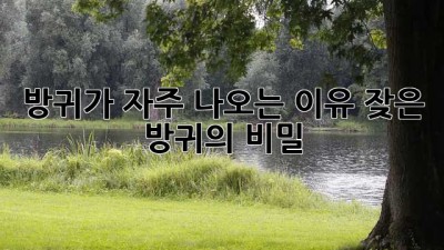 방귀가 자주 나오는 이유: 잦은 방귀의 비밀